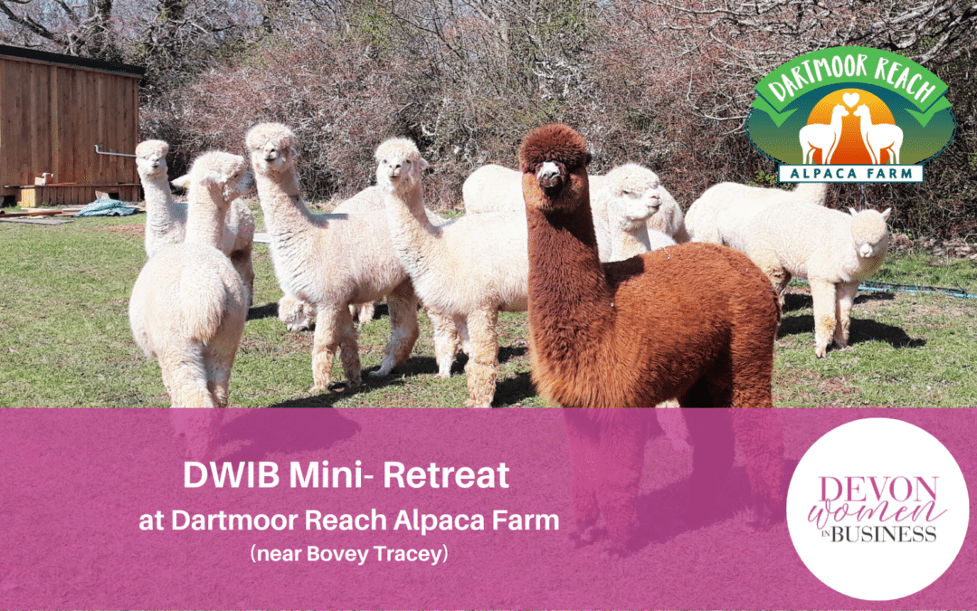 DWIB Mini Retreat