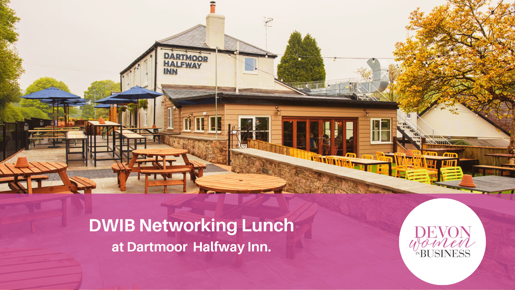 DWIB Networking Lunch at the Dartmoor Halfway Inn
