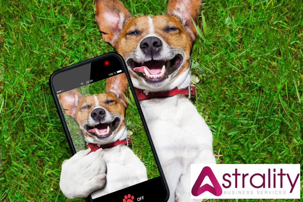 Photo of a Jack Russell terrier with a red collar, on his back on the grass, holding up a mobile phone with the same picture on it. The logo of Astrality Business Services is in bottom right corner.