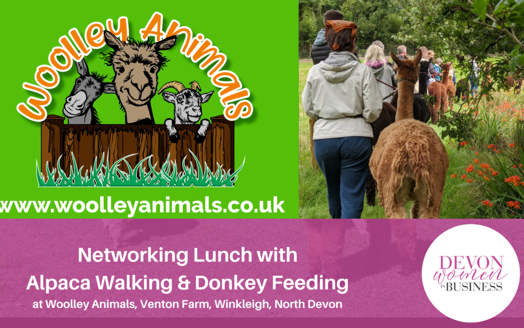 Alpaca Walking, Donkey Feeding and Networking Lunch