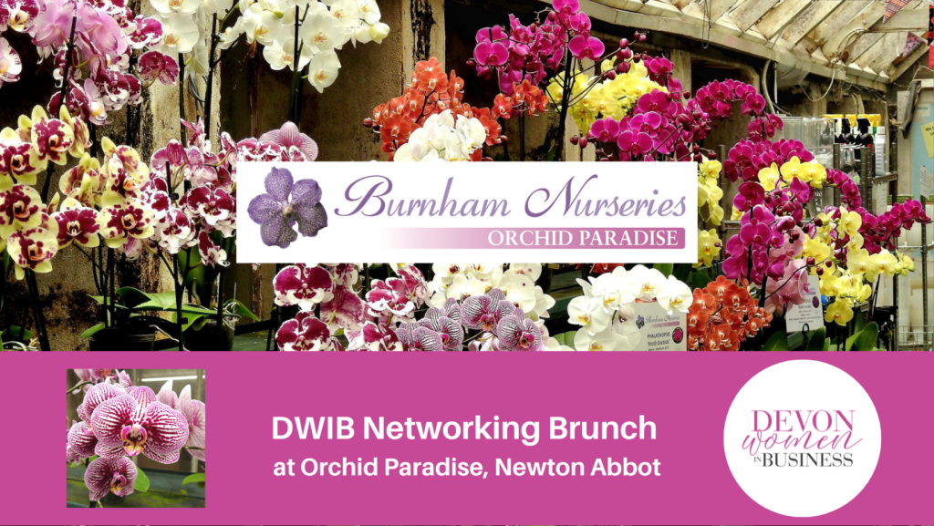 Photo of a variety of orchids from Burnham Nurseries, Orchid Paradise. Venue for DWIB Networking Brunch. Devon Women in Business.