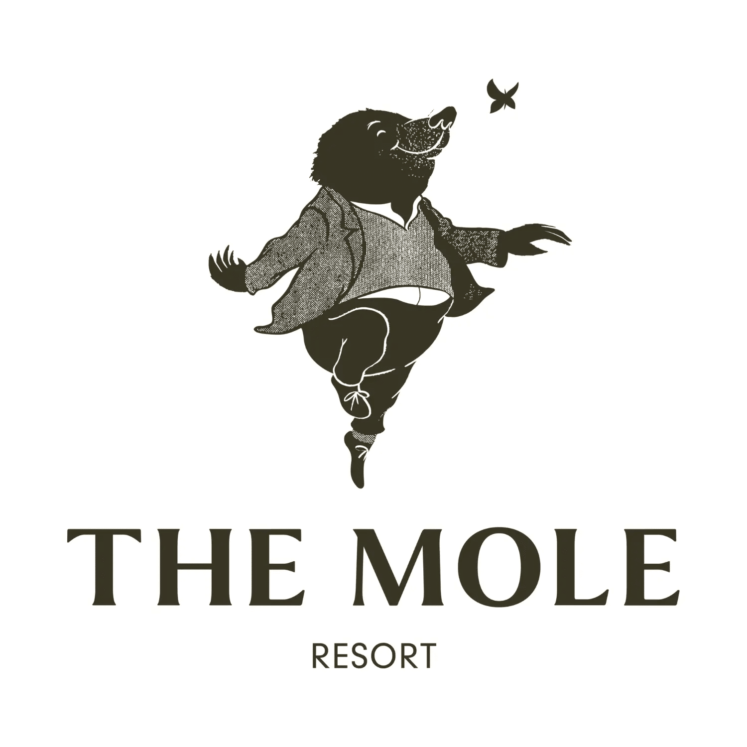 The Mole Resort logo on a white background. At the top is a whimsical illustration of an upright mole dressed in a jacket, jumper and trousers, balancing on one foot while looking up at a small butterfly. Below the illustration, the words "THE MOLE" appear in large serif capitals, with "RESORT" centred underneath in a smaller, modern sans-serif font. The overall design is monochrome in dark olive-grey, creating an elegant yet playful feel.
